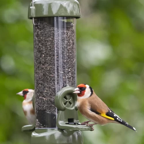 Nyjer / Niger Seed Feeder