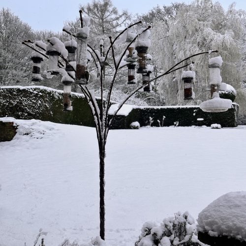 Elizabeth-bird-feeding-tree-snow