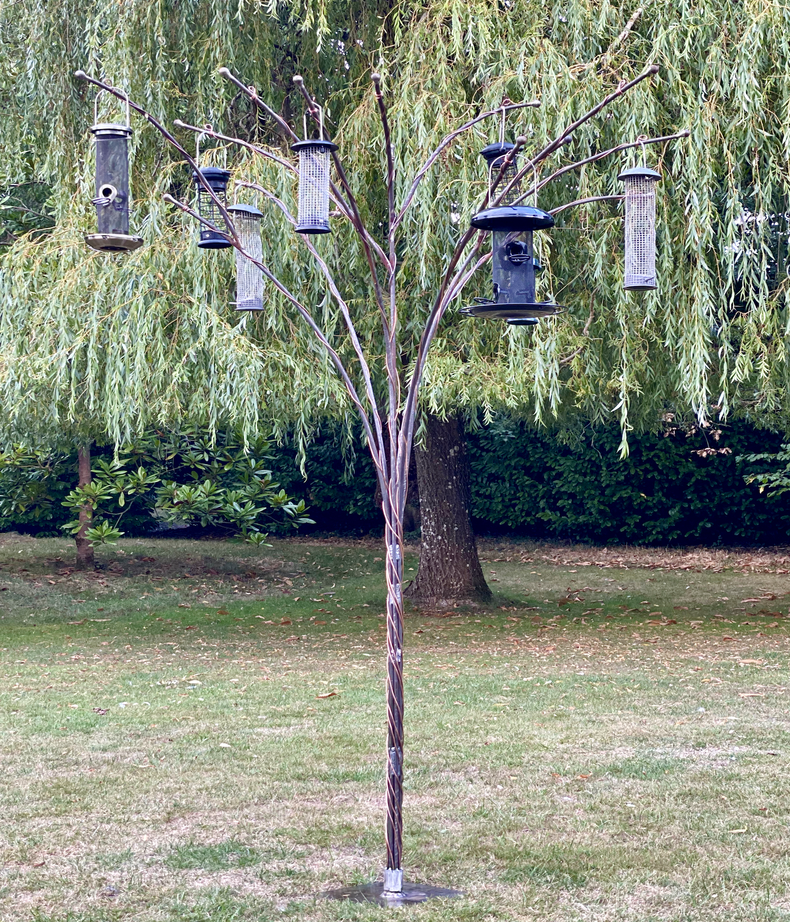 Elizabeth-bird-feeding-tree-with-feeders