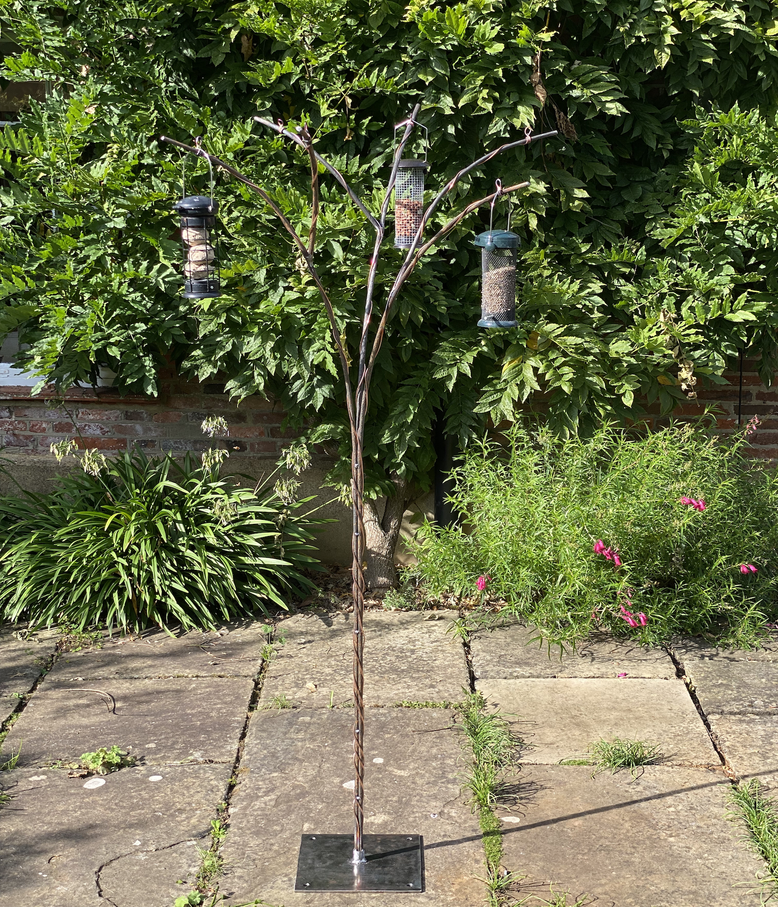 Penelope-bird-feeding-tree-wisteria